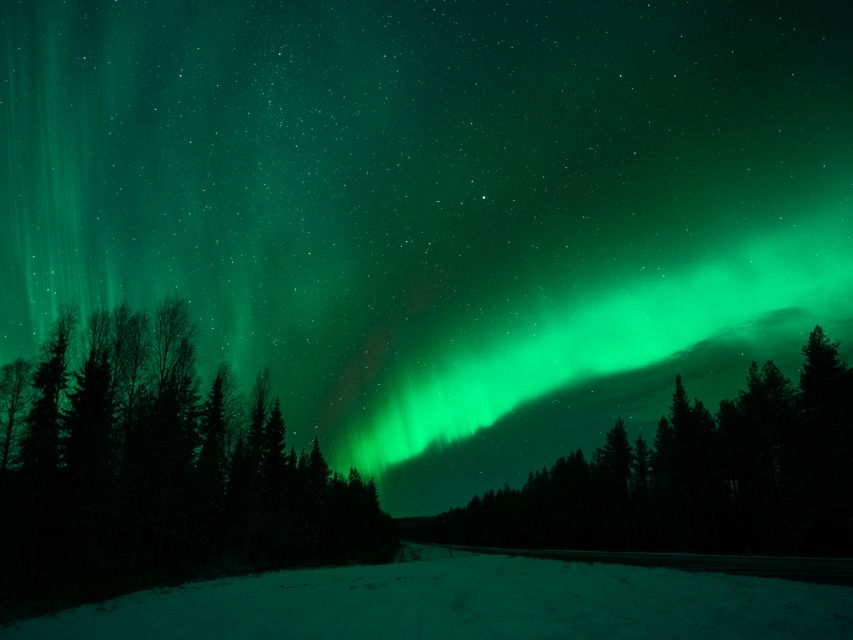Rovaniemi: Northern Lights Tour with Guaranteed Sightings - Should You Book This Guaranteed Aurora Tour or Skip It?