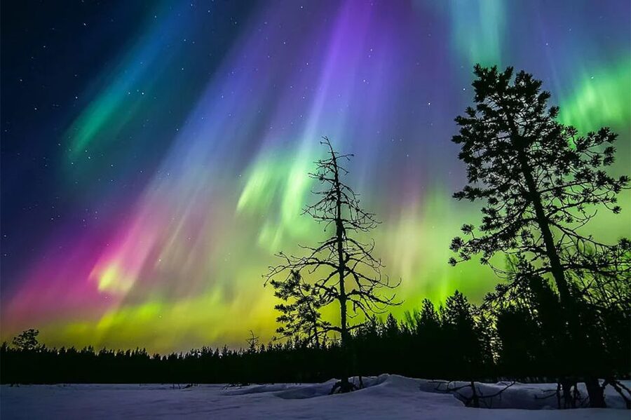 Rovaniemi: Northern Lights Trip with Arctic Sauna & Jacuzzi - What to bring (and how to dress) for the arctic sauna and ice steps