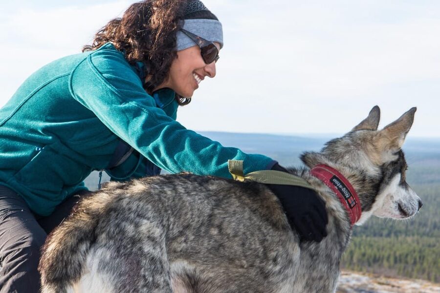 Rovaniemi: One Hour Husky Experience - The pickup and drive: why the transfer is a big deal in winter