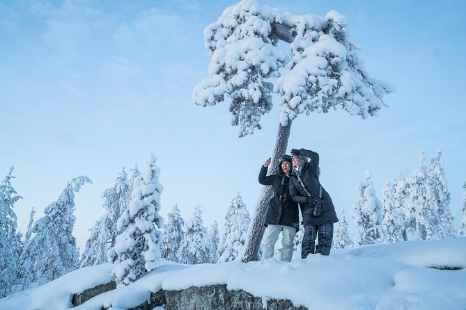 Rovaniemi photography tour - Start at Valtakatu 21 at 12:00 pm, and what a 2-hour session really buys you