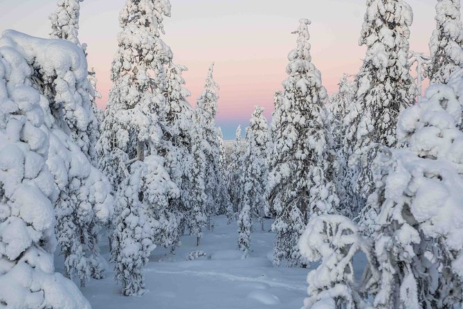 Rovaniemi photography tour - Stop 3 Ounasvaaran Lookout: authentic winter views without a marathon