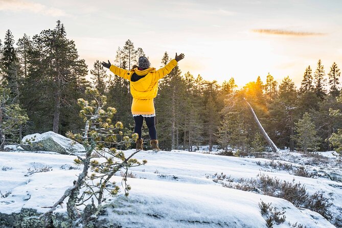 Rovaniemi photography tour - English-led, small-group tour value at $433.06 per group