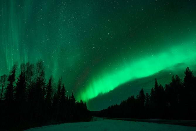 Rovaniemi: Private Aurora Tour with Guaranteed Sightings - The private bus strategy: unlimited mileage and time
