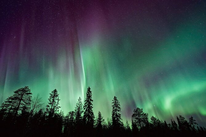 Rovaniemi: Private Aurora Tour with Guaranteed Sightings - Price, the 5-ticket minimum, and who gets the best value