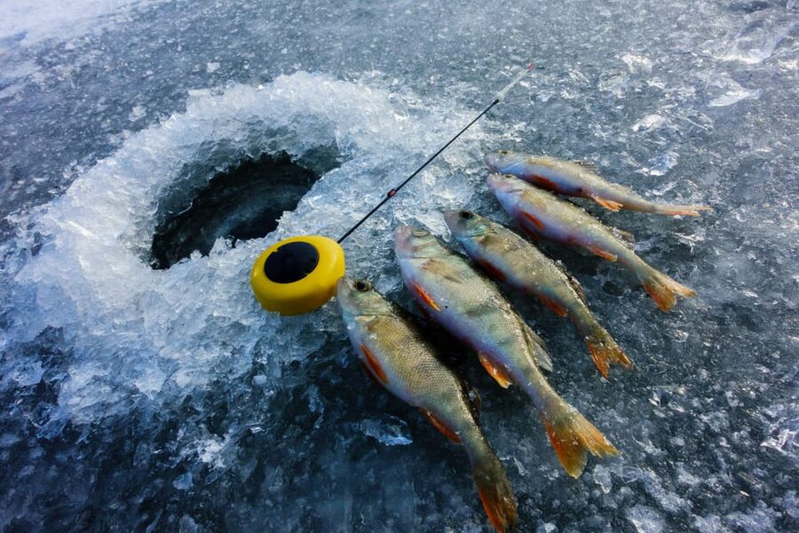 Rovaniemi: Quad Bike Ride and Ice Fishing - Who this tour fits best, and who should skip it