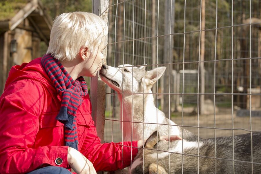 Rovaniemi: Quad Bike Safari, Reindeer & Husky Farm Visit - Entering the Arctic vibe without losing the plot