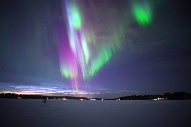 Rovaniemi – Real Northern Lights Hunting Experience (Small Group) - Price and logistics: what $142.97 buys you in real terms