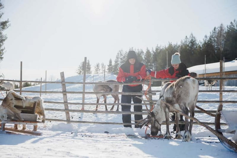 Rovaniemi: Reindeer Experience with Sleigh Ride - Getting Dressed in Included Winter Gear (And Why It Matters)