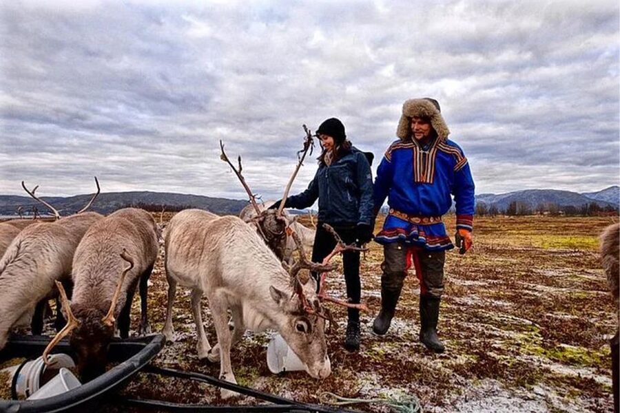Rovaniemi: Reindeer Farm Visit in the Summer - Key things to know before you go
