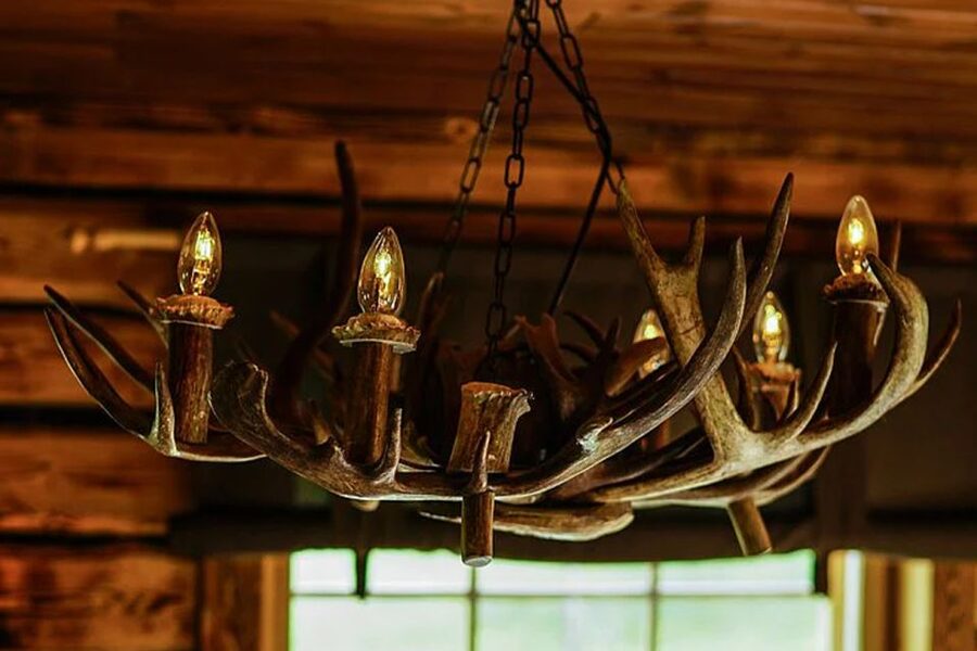 Rovaniemi: Reindeer Farm Visit in the Summer - The herders’ stories: what the tour actually teaches