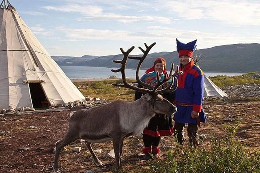 Rovaniemi: Reindeer Farm Visit in the Summer - Semi-domesticated reindeer and the herd ownership detail
