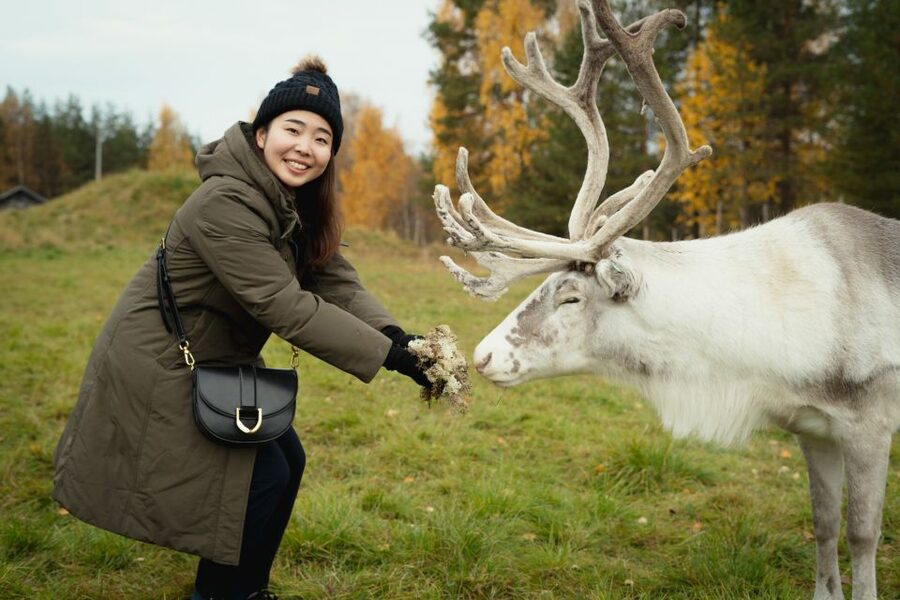 Rovaniemi: Reindeer Farm Visit with Photographer - From Rovaniemi to the farm, what the 3.5 hours really feels like