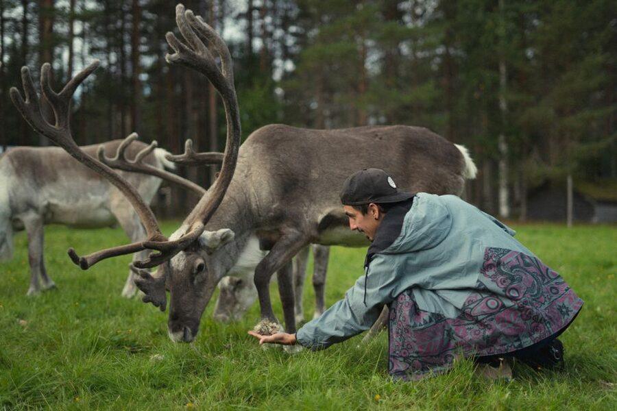 Rovaniemi: Reindeer Farm Visit with Photographer - Should you book Arctic Photo Experience in Rovaniemi?