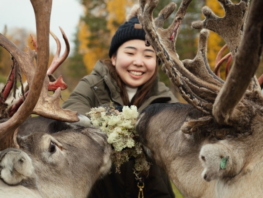 Rovaniemi: Reindeer Farm Visit with Photographer - FAQ