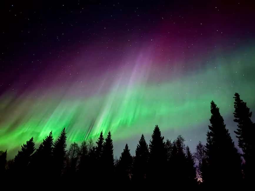 Rovaniemi: Reindeer, Huskies, Santa's Pets & Aurora Hunt - How guides shape the day, and how you can get the most out of them