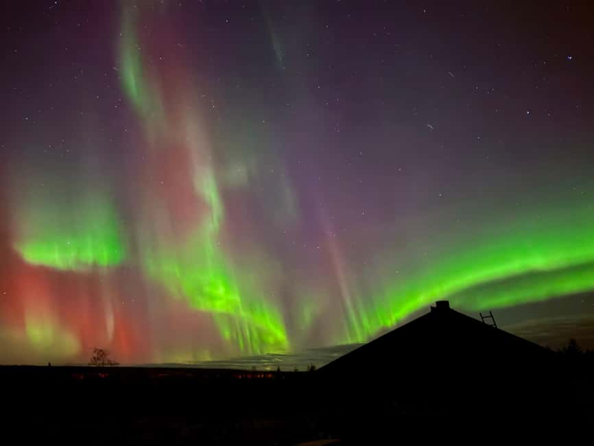 Rovaniemi: Reindeer, Huskies, Santa's Pets & Aurora Hunt - Who should book this Rovaniemi reindeer, huskies, Santa pets, and aurora hunt