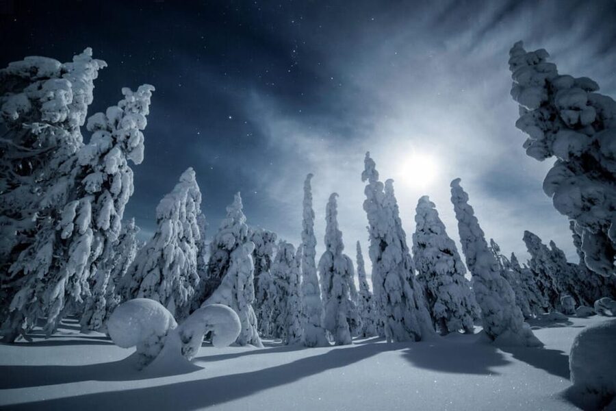 Rovaniemi: Reindeer Safari and Northern Lights Tour - Key Points You’ll Care About