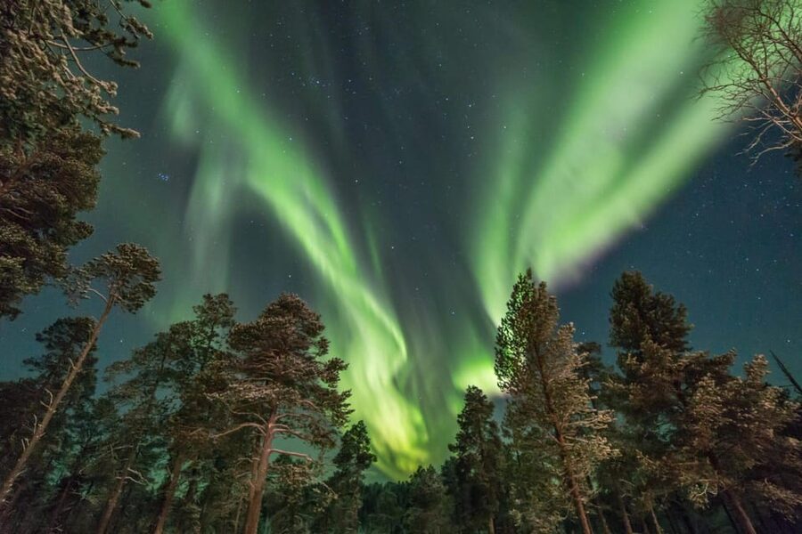 Rovaniemi: Reindeer Safari and Northern Lights Tour - Getting to the Farm: Pickup and a Small-Group Pace