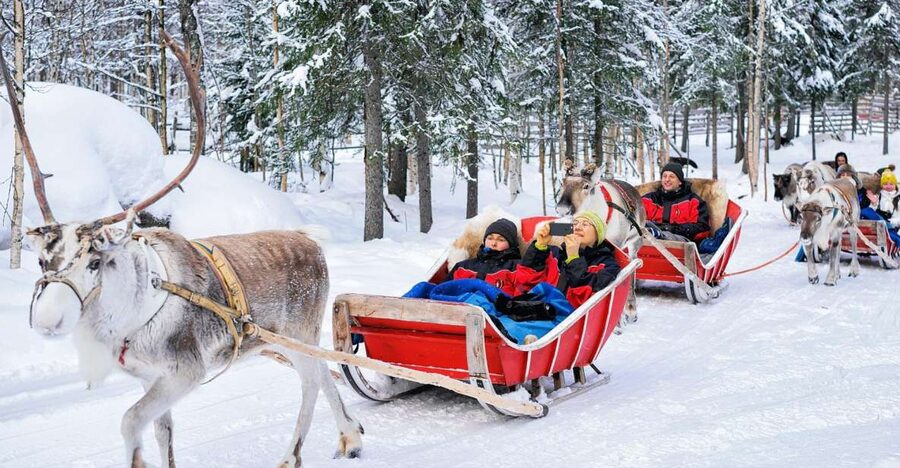 Rovaniemi: Reindeer Sleigh Ride with Hot Drink and Cookies - The hot kota stop: hot berry juice, cookies, and the reindeer talk