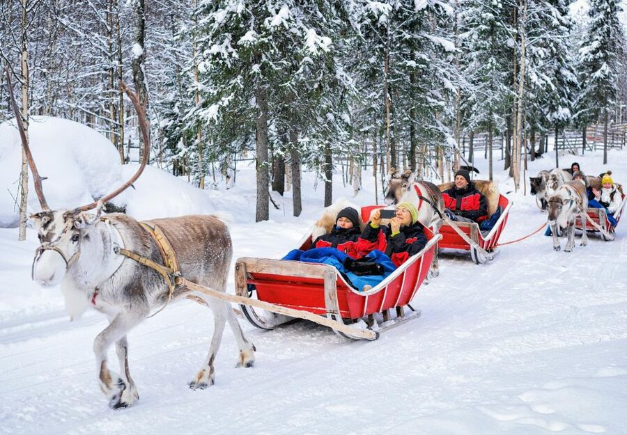 Rovaniemi: Reindeer Sleigh Ride with Hot Drink and Cookies - Price and value: is $294 per person fair?