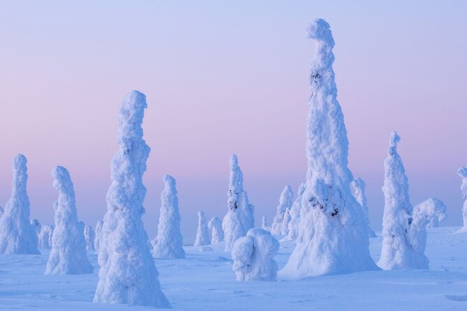 Rovaniemi: Riisitunturi Full-Day Wilderness Adventure & BBQ - The 8-hour winter rhythm, from 8:00 am to done