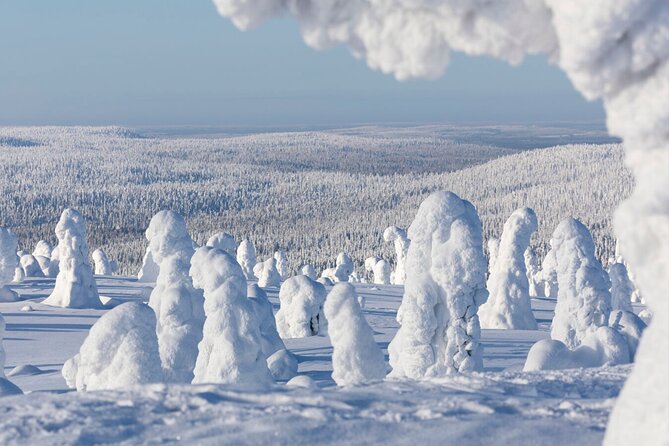 Rovaniemi: Riisitunturi Full-Day Wilderness Adventure & BBQ - The BBQ stop: why warm food is a real part of the experience