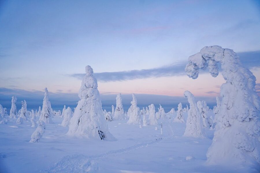 Rovaniemi: Riisitunturi National Park Day Trip with Lunch - Summit Views and Wind: What to Expect When It’s Cold Up Top