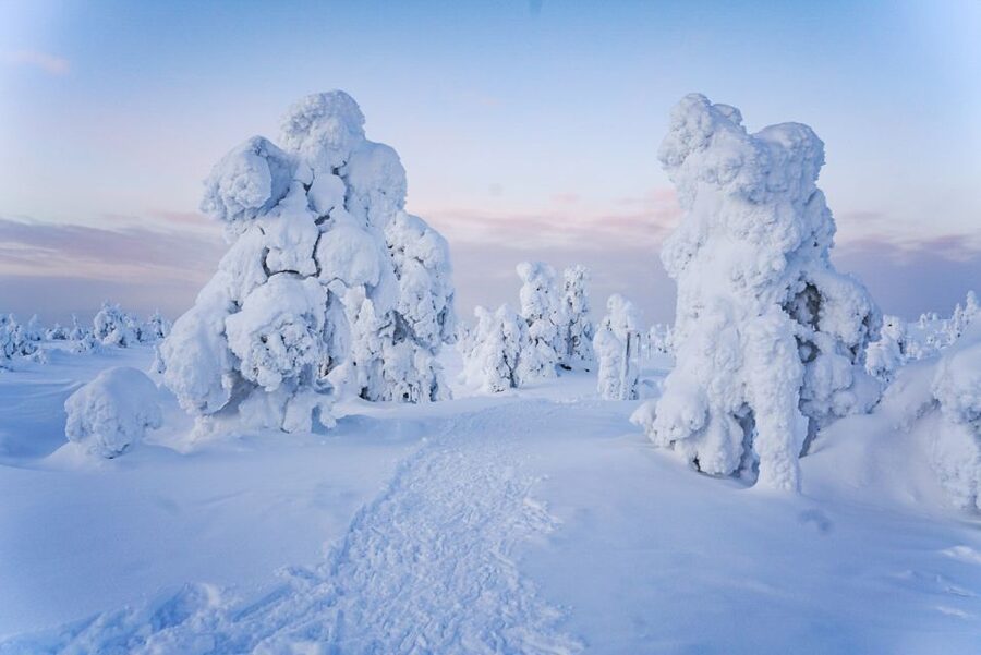 Rovaniemi: Riisitunturi National Park Day Trip with Lunch - Lunch, Hot Drinks, and the Water Reality