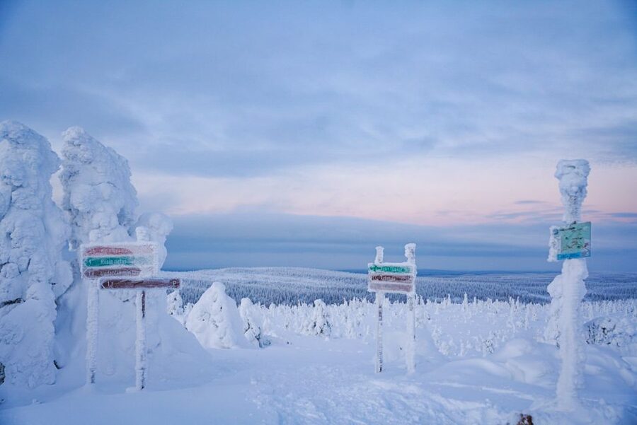 Rovaniemi: Riisitunturi National Park Day Trip with Lunch - Small Group Size (Max 8): Why It Changes Everything