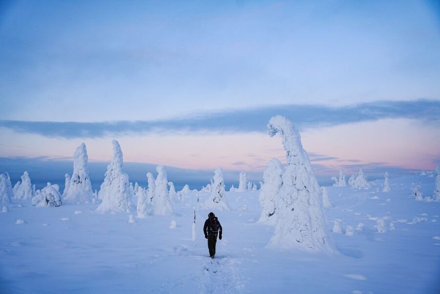 Rovaniemi: Riisitunturi National Park Day Trip with Lunch - What’s Included, and What You Should Bring Anyway