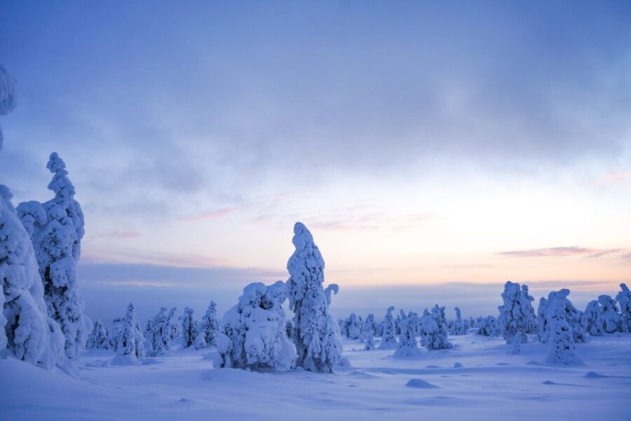 Rovaniemi: Riisitunturi National Park Day Trip with Lunch - The Morning Drive: 2 Hours From Town Into Real Lapland