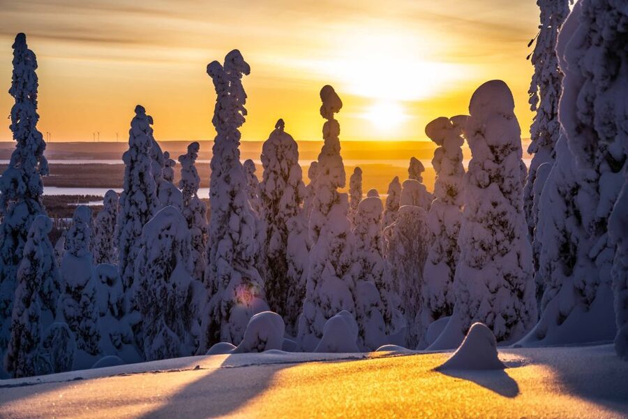 Rovaniemi: Riisitunturi National Park with Pro Photos & BBQ - The hike through the snow forests, and why the route matters