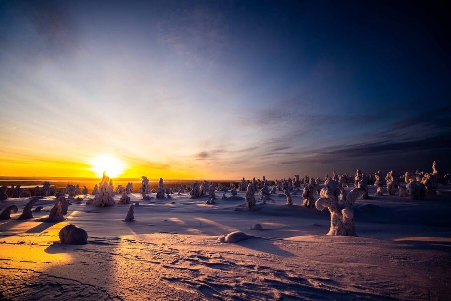 Rovaniemi: Riisitunturi National Park with Pro Photos & BBQ - Photo stops and pro guidance, how you actually get better pictures