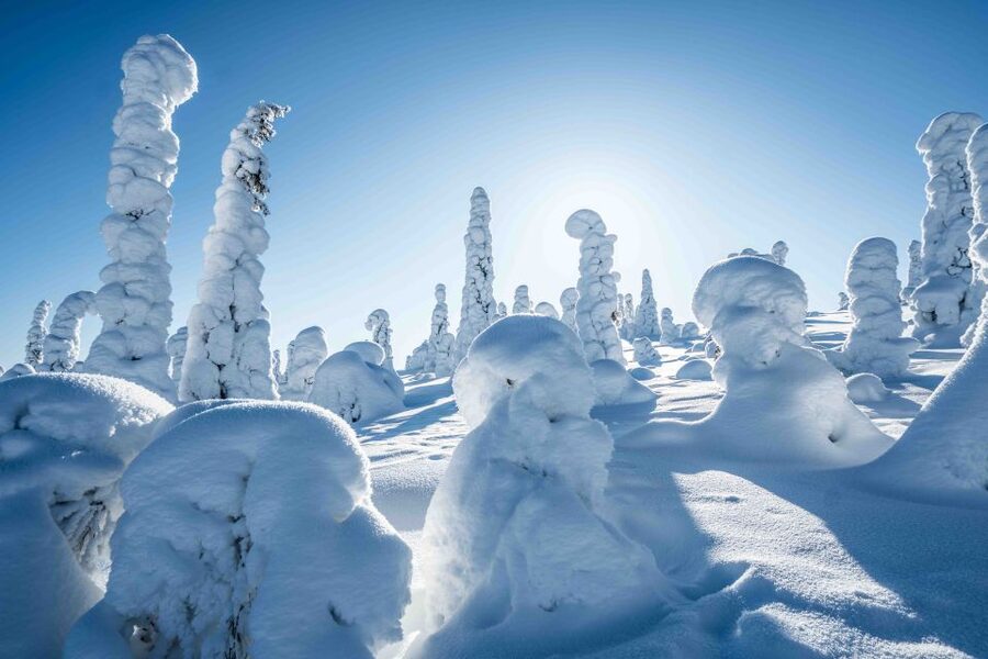 Rovaniemi: Riisitunturi National Park with Pro Photos & BBQ - Clothing, boots, and what to expect in cold weather