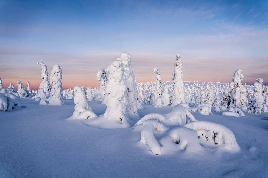 Rovaniemi: Riisitunturi National Park with Pro Photos & BBQ - Rovaniemi pickup and the drive to the fells