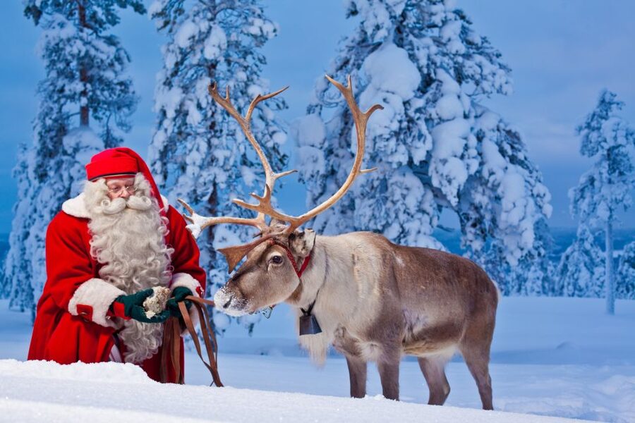 Rovaniemi: Santa Claus Village and Arctic Circle - The Arctic Circle crossing line and certificate: a souvenir with meaning