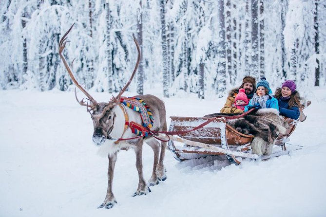 Rovaniemi Santa Claus Village Husky Reindeer Farm Arctic Museum - Arktikum Arctic Museum: animals, Sami culture, and Northern Lights context
