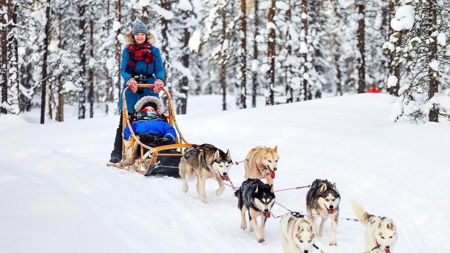 Rovaniemi: Santa Claus Village + Husky & Reindeer Sled Ride - Key things that make this tour work