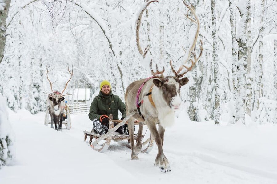 Rovaniemi: Santa Claus Village + Husky & Reindeer Sled Ride - Santa Claus Village inside the Arctic Circle, with Santa meeting and photo time