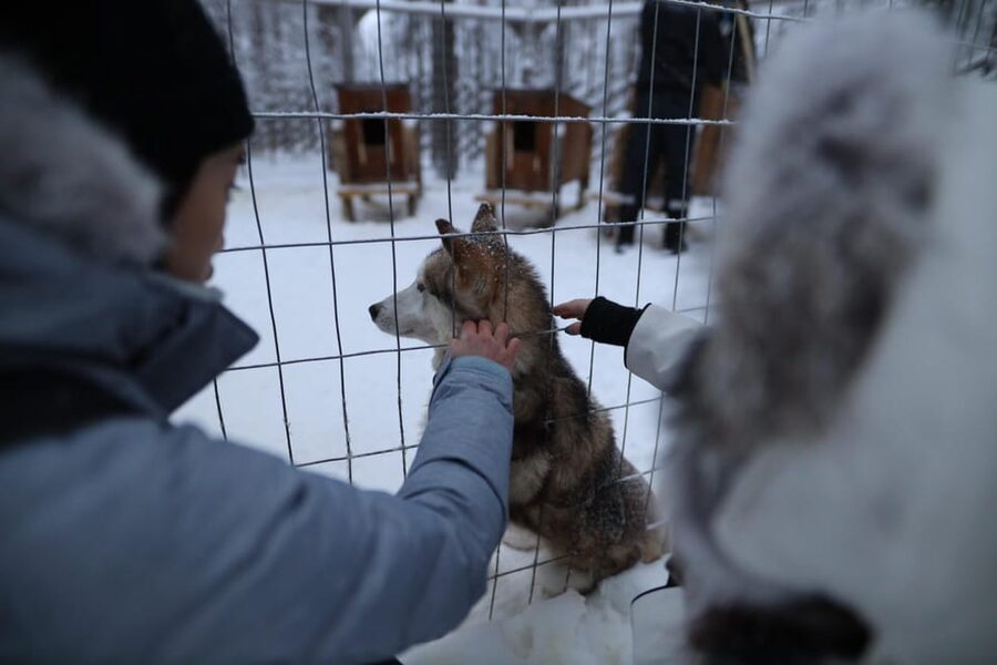 Rovaniemi: Santa Claus Village Tour Huskies & Reindeer ride - Rovaniemi pickup and the transfer to the village