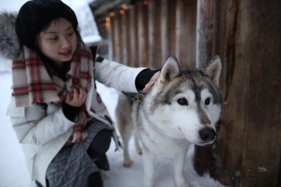 Rovaniemi: Santa Claus Village Tour Huskies & Reindeer ride - Guide quality and why small-group matters