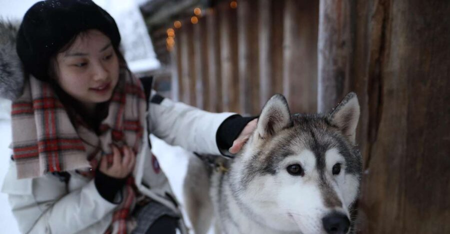 Rovaniemi: Santa Claus Village Tour Huskies & Reindeer Visit - Santa Claus Village, Built for Magic Any Month