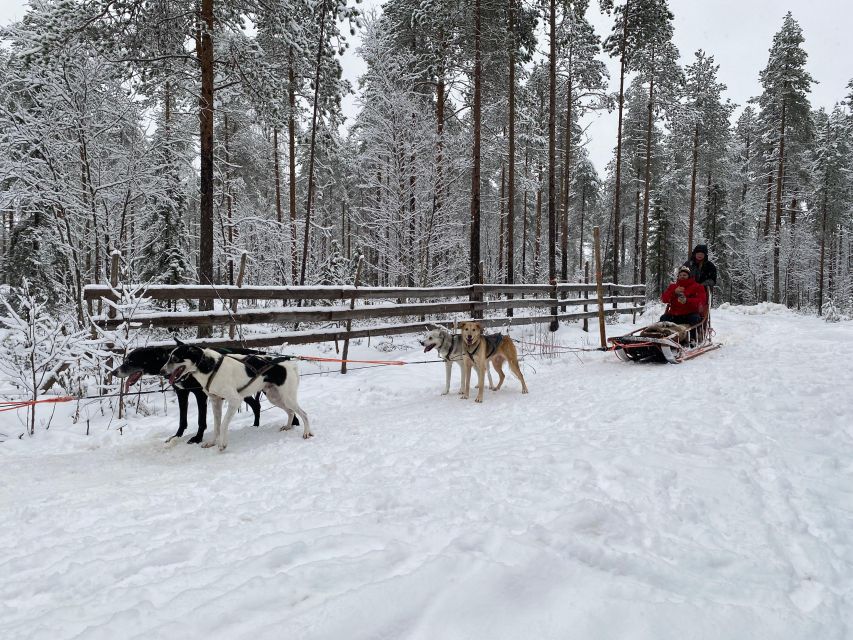 Rovaniemi: Santa Claus Village Tour Huskies & Reindeer Visit - Reindeer Yard: Feeding, Local Symbolism, and Lapland Culture