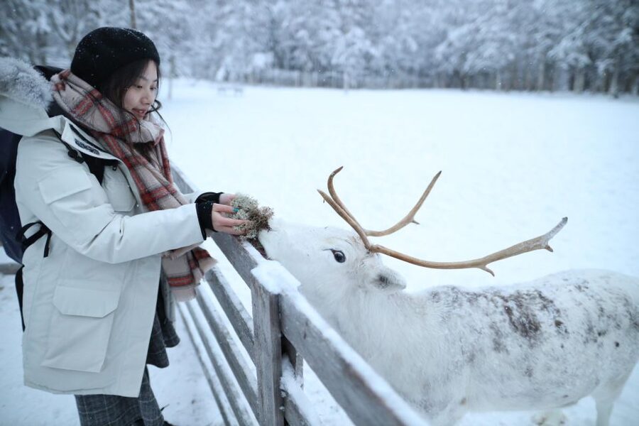 Rovaniemi: Santa Claus Village Tour Huskies & Reindeer Visit - Who This Tour Fits Best (and Who Should Rethink It)