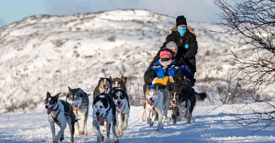 Rovaniemi: Santa's Village, Husky, & Reindeer Sled Ride - Husky safari at the farm: petting, photos, and a ride with energetic dogs