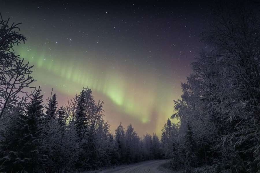 Rovaniemi: Sauna & Ice Swimming Tour with Dinner and Aurora - Northern Lights Time: Chasing Color Under a Pitch Black Sky