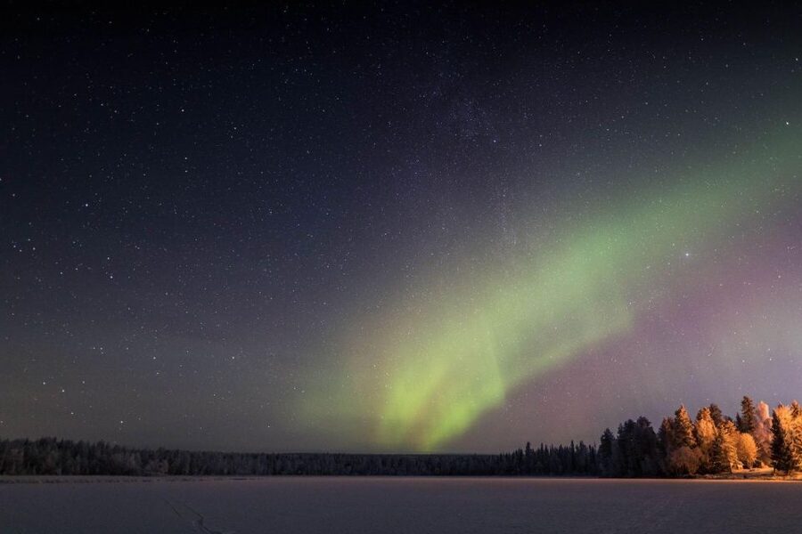 Rovaniemi: Sauna & Ice Swimming Tour with Dinner and Aurora - Price and Value: What You’re Really Paying For at $184