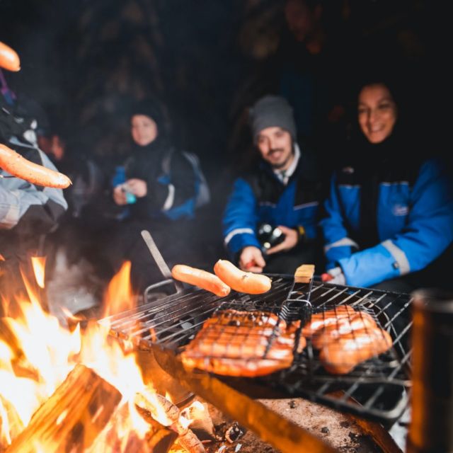 Rovaniemi: Search for Northern Lights Snowmobiling Trip - Key Highlights You Should Care About