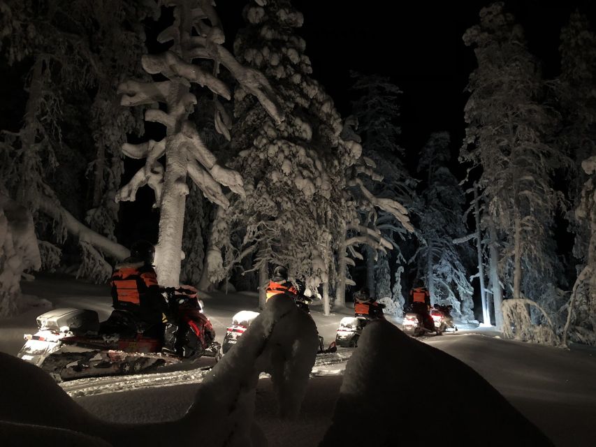 Rovaniemi: Search for Northern Lights Snowmobiling Trip - Small Groups and Ride Comfort: Tandem, Pace, and Confidence