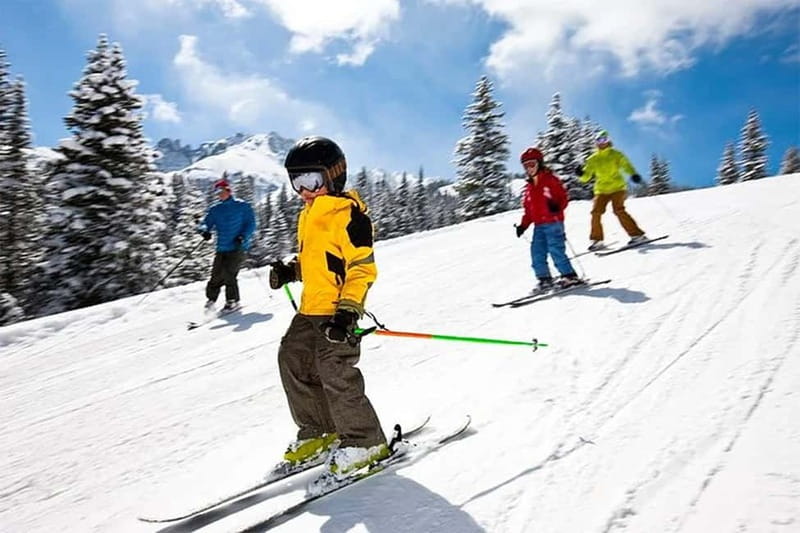 Rovaniemi: Slalom and Alpine Skiing - Who This Trip Suits Best in Rovaniemi